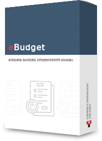 eBudget